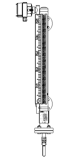 Reed-11干簧管远传变送器